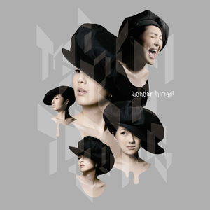 黄色大毒枭免费播
