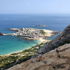 黄色大毒枭免费播
