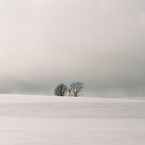 黄色大毒枭免费播
